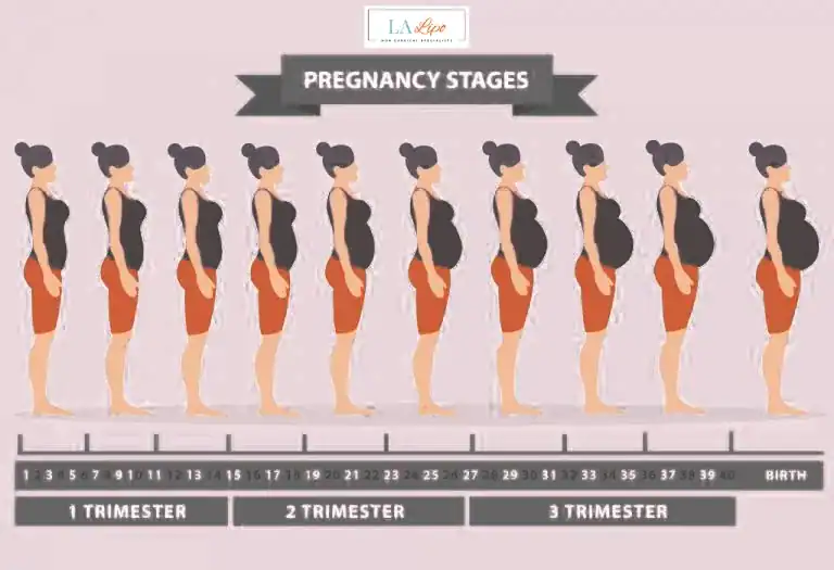 First Trimester (Weeks 1–12): Early Changes You Might Not Notice High Wycombe